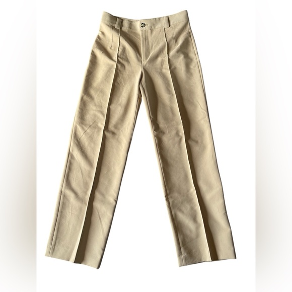 BLOGGERS FAVE Zara Pants - Picture 11 of 13